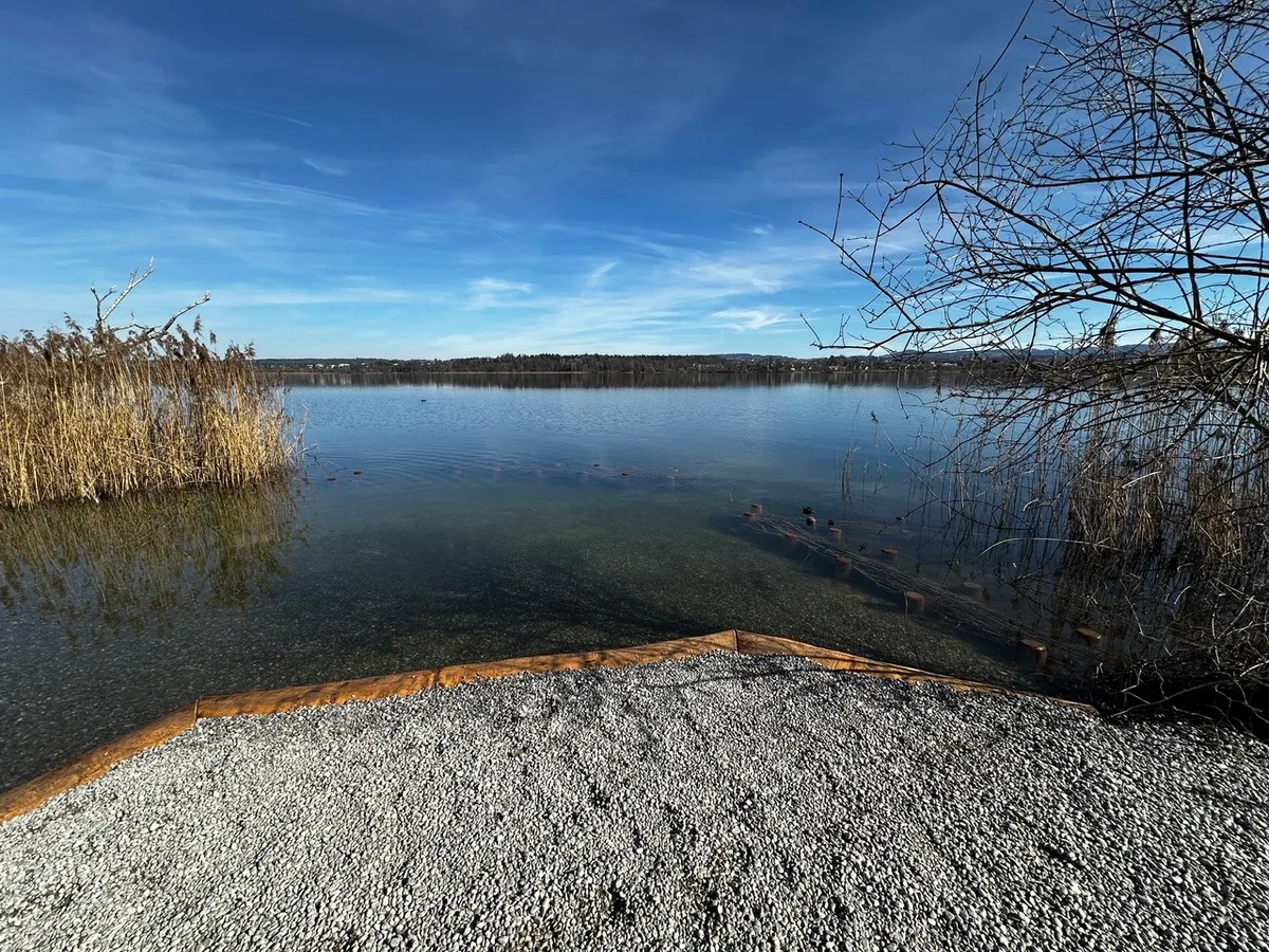 Man sieht ein Ufer in Maur am Greifensee.
